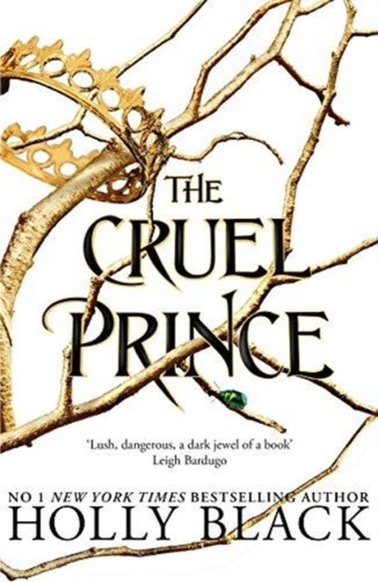 Cover of The Cruel Prince by Holly Black – a dark fae fantasy book filled with betrayal, romance, and court intrigue.
